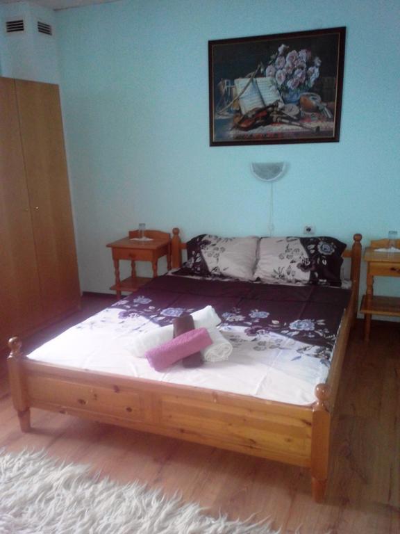 Veselata Guest House Dolna Banya Exterior foto