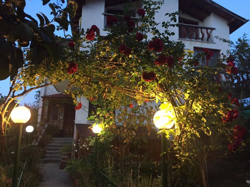 Veselata Guest House Dolna Banya Exterior foto